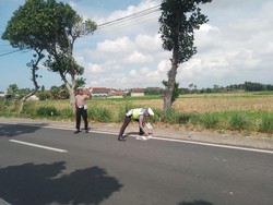 Motor Tabrak Truk di Banyuwangi, Satu Orang Tewas