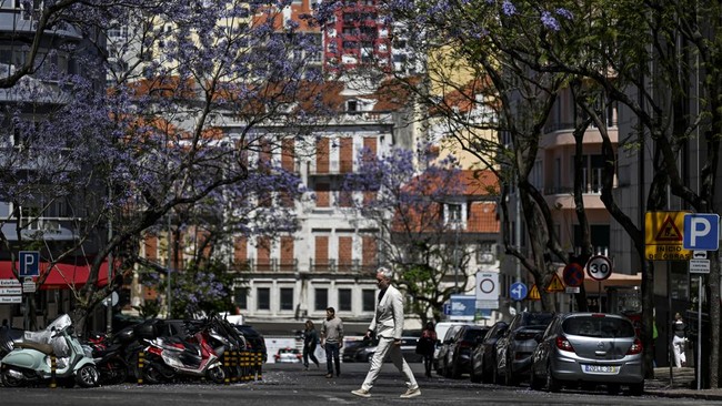 FOTO: Bunga Jacaranda dan Lisbon yang 'Ungu' di Musim Panas