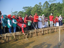 Walkot Semarang Dorong Anak Muda Jadi Agen Ketahanan Pangan