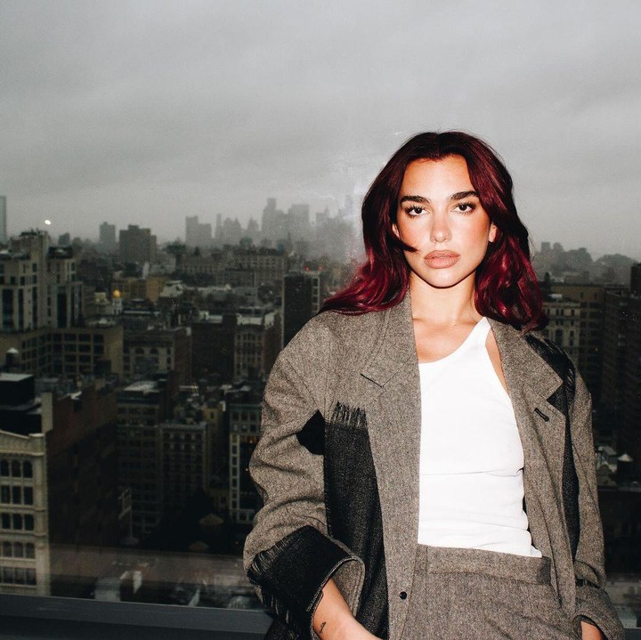 <p>Dua Lipa juga terlihat memberikan kecemana terhadap Israel dengan <em>repost</em> unggahan tentang serangan tersebut di akun Instagram pribadinya. "Saya telah bekerja dan mengirimkan bantuan ke setiap zona perang besar sejak genosida Rwandan dan, di hampir setiap level, situasi kemanusiaan di Gaza adalah yang terburuk yang pernah saya alami -Amed Khan," tulis postingan itu. (Foto: Instagram@dualipa)</p>