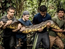 Kisah Ngeri Pria Nyaris Tewas Dililit Anaconda Karena Penasaran