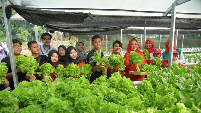 Peran agen ketahanan pangan atau petani itu diyakini memberi banyak manfaat, mulai pengendalian inflasi, pengentasan kemiskinan, hingga stunting.