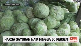 VIDEO: Harga Sayuran Naik Hingga 50 Persen