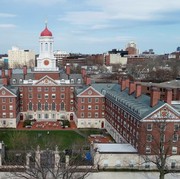 Respon Keputusan 13 Wisudawan yang Tidak Diluluskan karena Pro-Palestina, Ribuan Wisudawan Harvard Walk Out