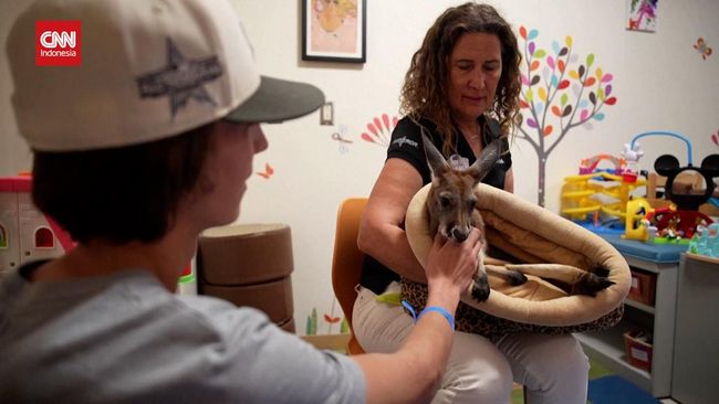 Kanguru hingga Aligator Hibur Pasien Anak di RS California