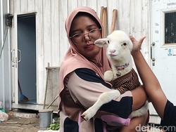Imutnya Momot Cemot, Cempe Bu Bidan Kulon Progo yang Diasuh Kayak Bayi