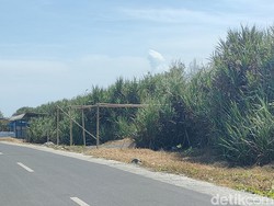 Bangunan Liar Bermunculan di Kawasan Sabuk Hijau YIA Kulon Progo