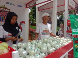 Cerita Suyanto, Tingkatkan Usaha Tani Jambu Kristal Berkat KUR BRI