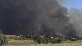 Perang dengan Israel, Kenapa Hizbullah Mau Serang Siprus?