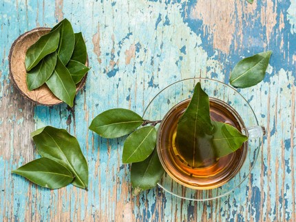 Cara Merebus Daun Salam untuk Asam Urat dan Kolesterol, Mudah Bun!