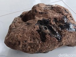 Batu Berbau Kemenyan Pernah Ditemukan di Lokasi Fosil Hiu Megalodon