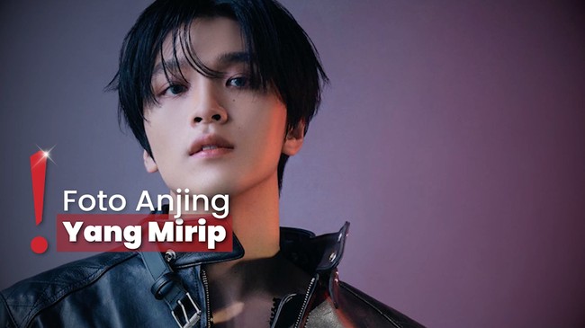 Han Seo Hee Dirumorkan Pacari Haechan NCT, Seret Nama Jaehyun