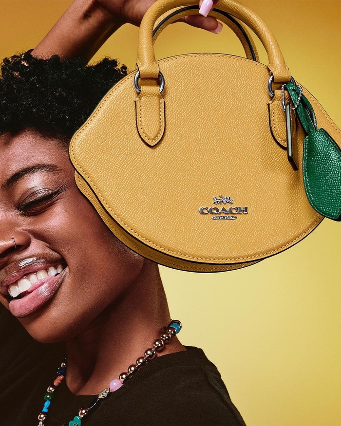 Tas Coach