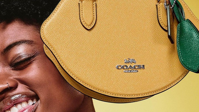 Tas Coach