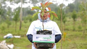 BRI Masuk Dalam Daftar CNBC Indonesia Green Business Ratings 2024