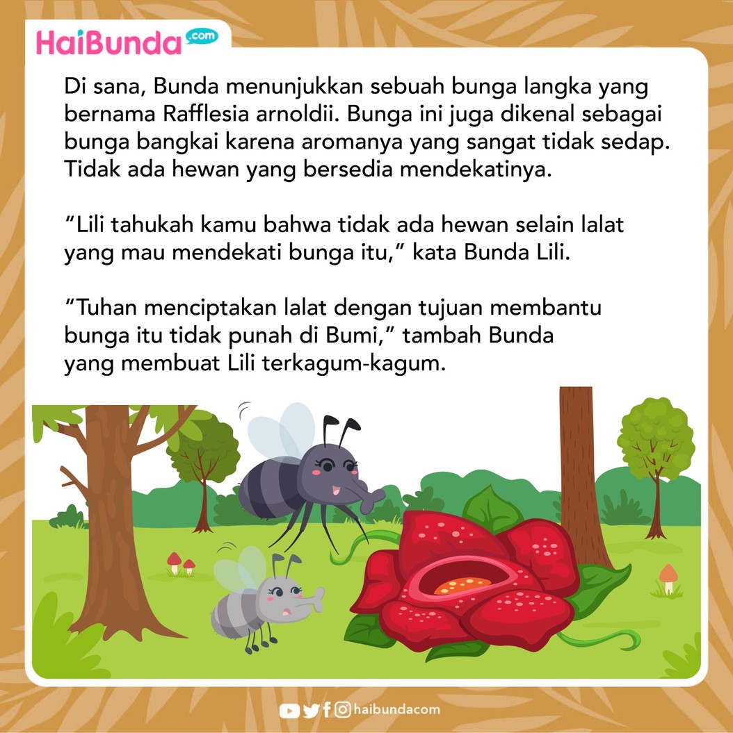 Cerita Fabel Lalat