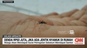 VIDEO: Denda Rp 50 Juta, Jika Ada Jentik Nyamuk di Rumah