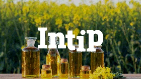 INTIP: 5 Rekomendasi Minyak Goreng yang Bagus untuk Kesehatan