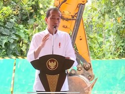 Jokowi Puji-puji Kualitas Udara IKN Jauh Lebih Baik Dibanding Jakarta-Paris