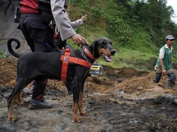 Bawa Anjing Pelacak, Polisi Sisir Lagi Lokasi Jasad Alvaro Dibuang di Tenjo