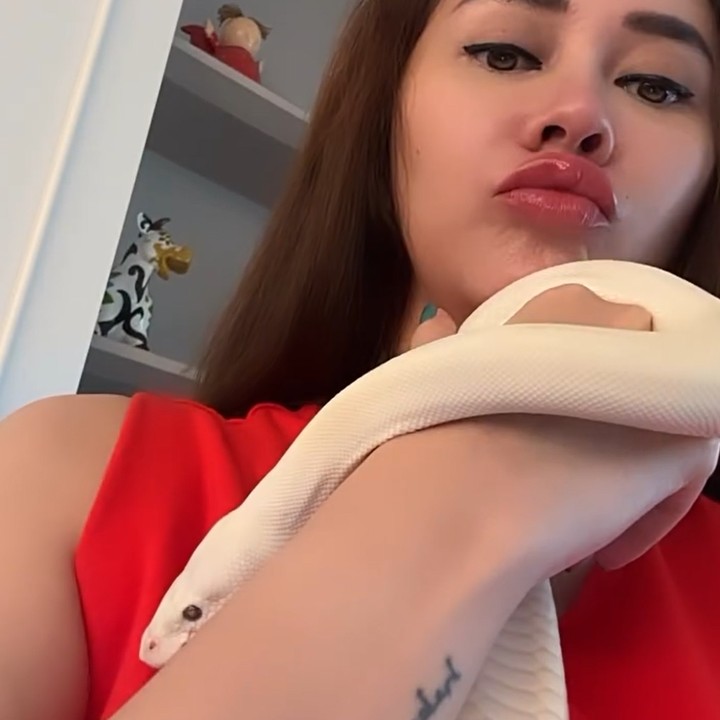 <p>Aura Kasih yang hobi memelihara ular tak luput dari komentar warganet. Tak sedikit yang penasaran dengan peliharaan Aura Kasih itu, Bunda. "Itu ular ada bisanya gak mbak?" komentar akun @depi*****. Aura Kasih pun membalasnya, "Enggak dong." (Foto: Instagram @aurakasih)</p>