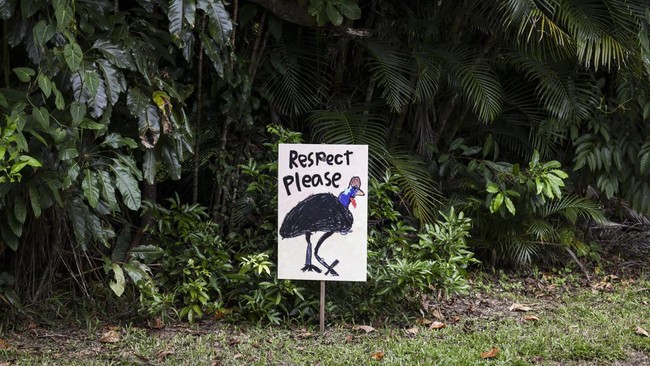 FOTO: Tatapan Pilu 'Dinosaurus Hidup yang Tersisa' di Australia