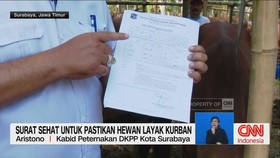 VIDEO: Surat Sehat untuk Pastikan Hewan Layak Kurban
