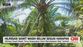 VIDEO: Hilirisasi Sawit Masih Belum Sesuai Harapan