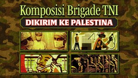 INFOGRAFIS: Komposisi Brigade TNI untuk Dikirim ke Palestina