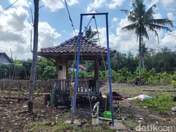 Ini Kelebihan dan Kekurangan Bikin Sumur Bor di Rumah