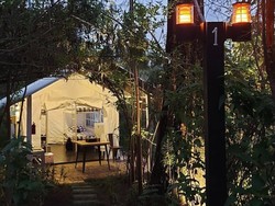 Rekomendasi 6 Tempat Glamping yang Asyik di Banyuwangi