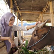 Ikut Berkurban Tahun Ini? Ketahui Syarat Hewan yang Bisa Dijadikan Kurban