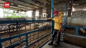 VIDEO: Derita Warga Gaza Jelang Hari Raya Idul Adha
