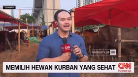 VIDEO: Memilih Hewan Kurban yang Sehat