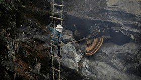 FOTO: Perubahan Iklim dan Cerita Muram Pengumpul Madu 'Gila' Nepal