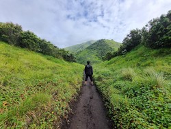 Gunung Merbabu Terletak di Mana? Ini Lokasi, Jalur Pendakian dan Daya Tariknya