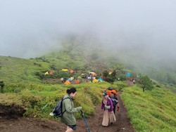 Dear Pendaki, Pendakian Merbabu Via Selo Ditutup 3-4 Agustus