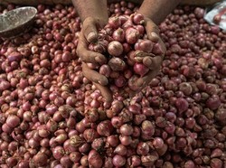 Harga Bawang Merah-Daging Ayam Turun, Juni Deflasi 0,08%