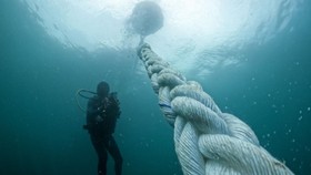 Analisa Hasil Eksplorasi OceanX Bakal Bantu Perikanan Indonesia
