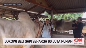 VIDEO: Jokowi Beli Sapi Seharga 90 Juta Rupiah