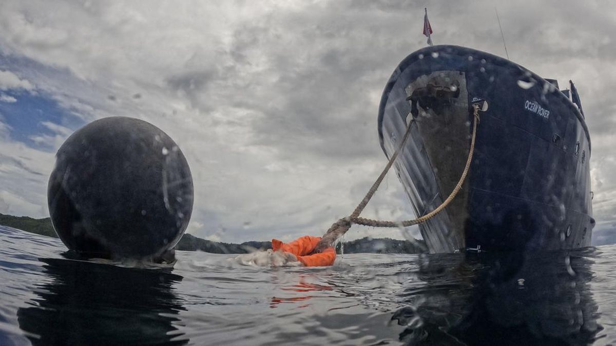 Kapal Wisata Kandas di Raja Ampat, Pemerintah Bentuk Tim Investigasi