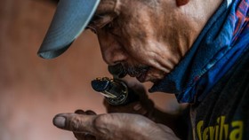 FOTO: Aroma Kopi Puntang yang Mendunia