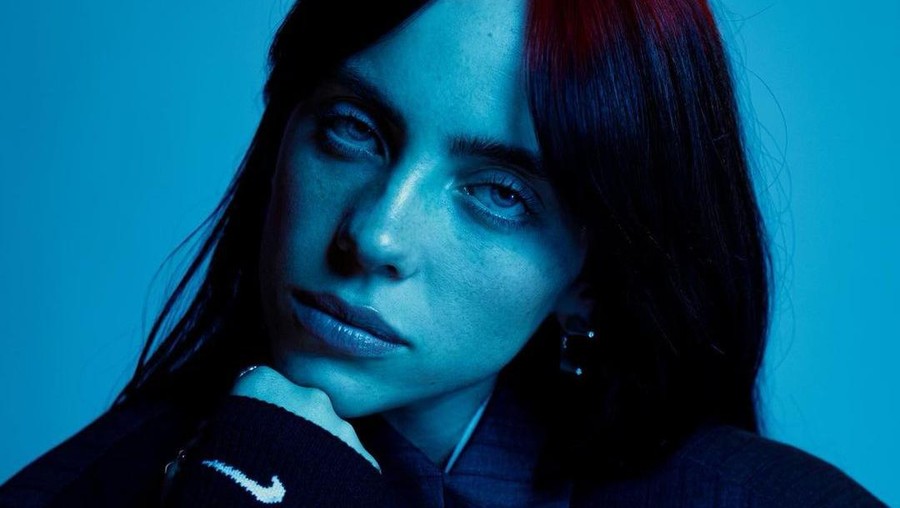 Lirik Lagu WILDFLOWER Billie Eilish