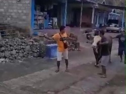 Detik-detik Sugi Tewas Diseruduk Sapi Limosinnya di Gunungkidul