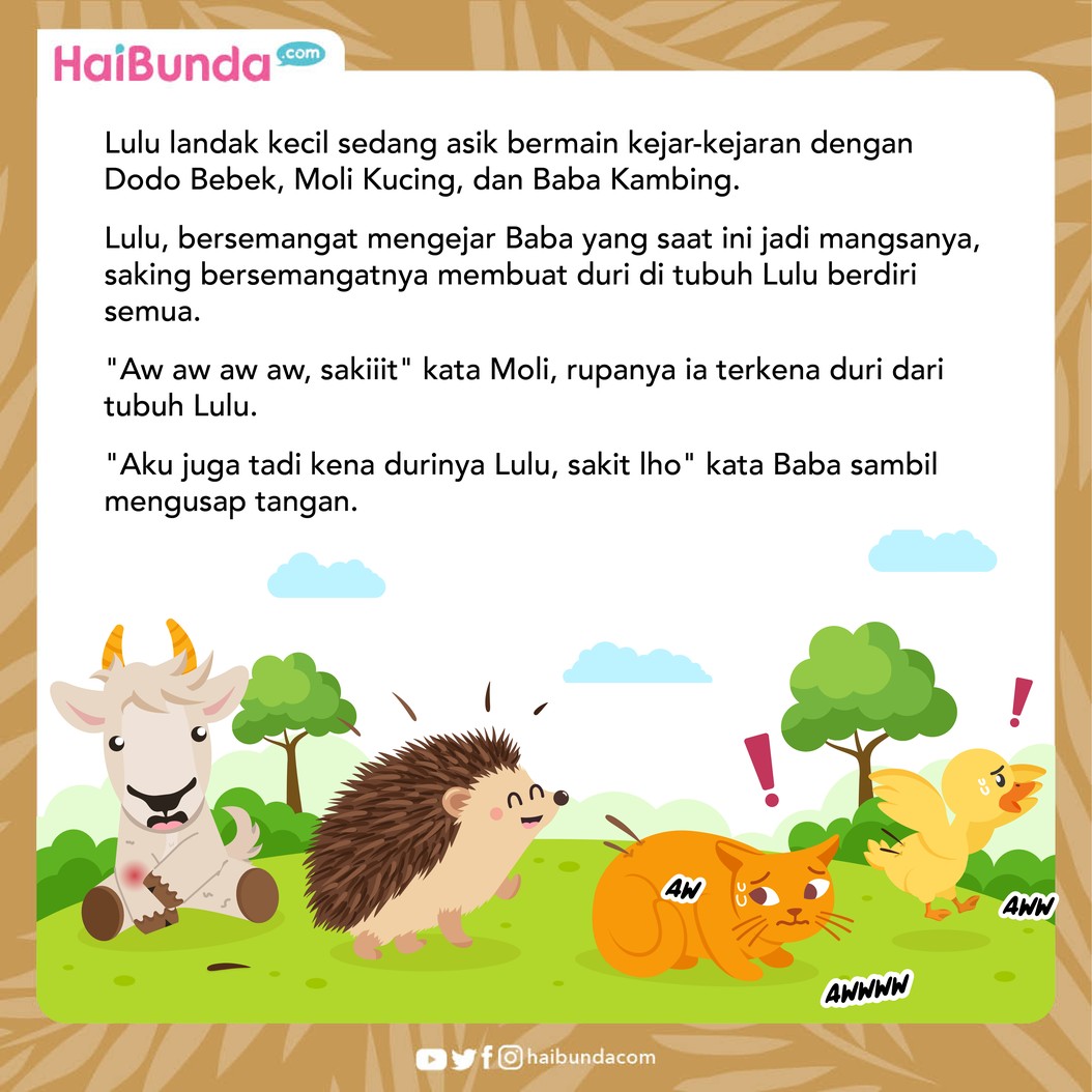 Lulu Landak sedih, karena saat bermain duri-duri di tubuhnya melukai hewan lain. Namun, sahabatnya punya ide brilian untuk menyiasati hal itu. Simak ceritanya!