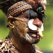 All Eyes on Papua: Deretan Fakta Suku Awyu yang Terancam Kehilangan Hutan Adatnya