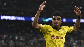 Krisis Gelandang, Belanda Panggil Pemain Berdarah Indonesia ke Euro