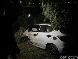 Sopir Micro Sleep, Brio Tabrak Pohon-Nyemplung Sawah di Kulon Progo