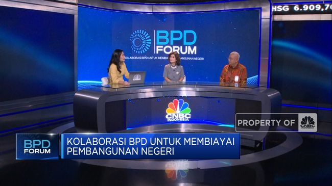 Roadmap BPD Siap Meluncur, Ini Harapan Ekonom