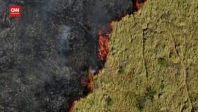 VIDEO: Hutan Tropis Brasil Kebakaran Hebat, Paru-paru Dunia Meradang